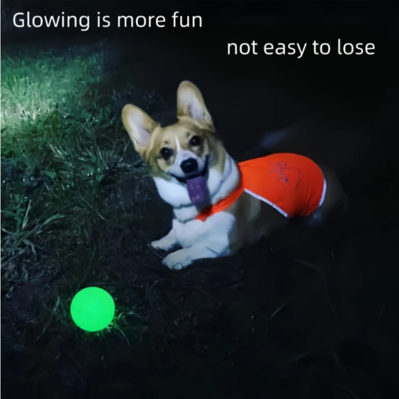 Indestructible Dog Chew Toy - Bola de Borracha que Brilha no