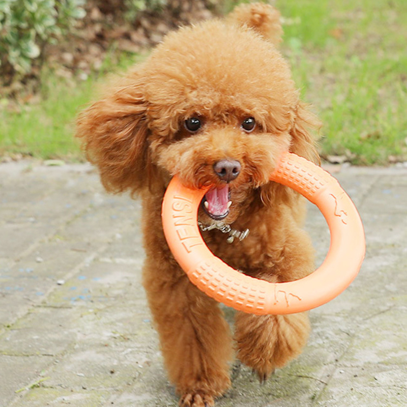 Laranja voando disco formação  - Flying Disc Dog Training Toy avaliação e preço