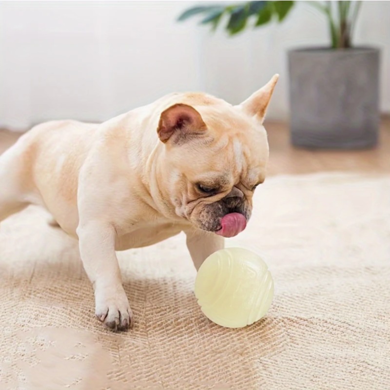 Bola de Borracha que Brilha no - Indestructible Dog Chew Toy avaliação e preço