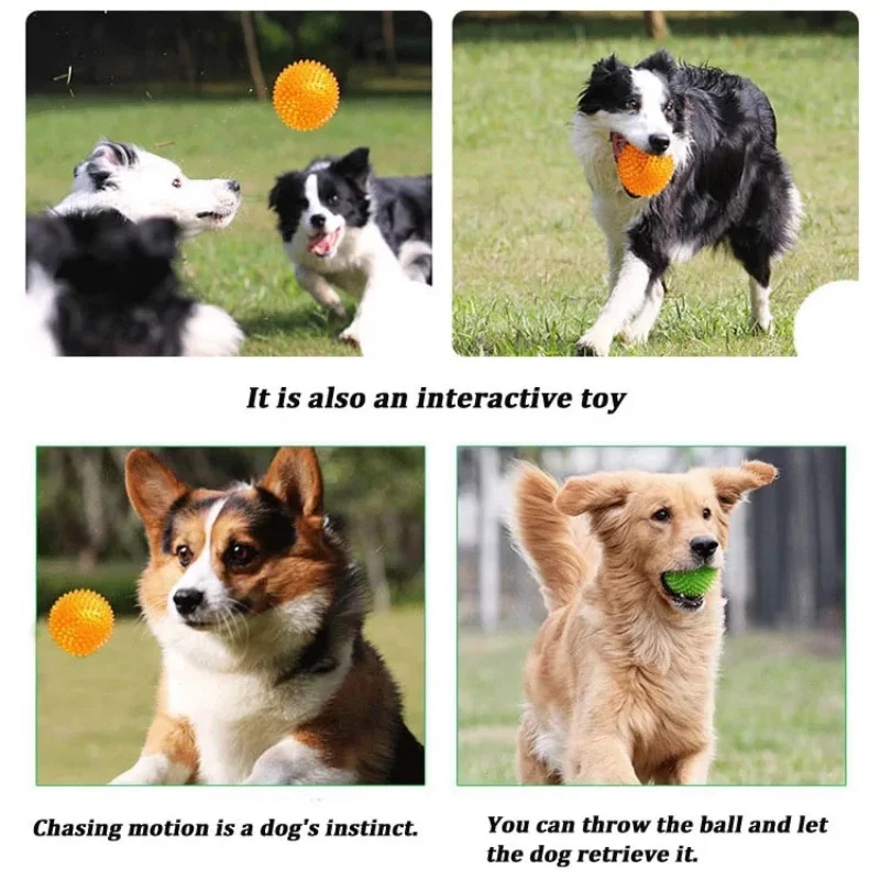 Brinquedo de Bola Espinhosa TP - Interactive Squeaky Plush Dog Toy avaliação e preço