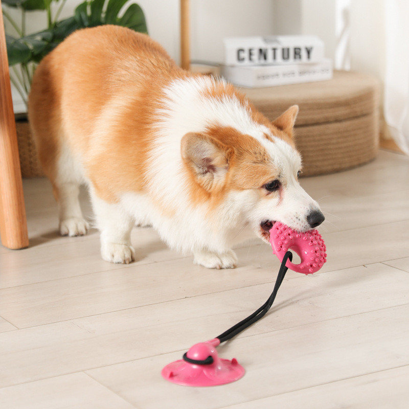 Brinquedos para cães, ventosa  - Suction Cup Dog Tug Toy avaliação e preço
