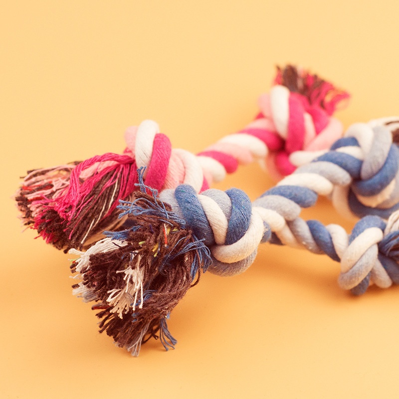Brinquedo para Cães: Nó de Cor - Interactive Squeaky Plush Dog Toy avaliação e preço