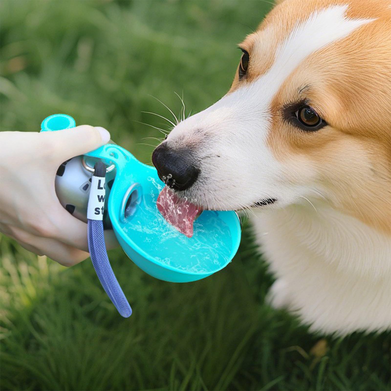 Dispensador de água portátil d - Pet Feeders avaliação e preço
