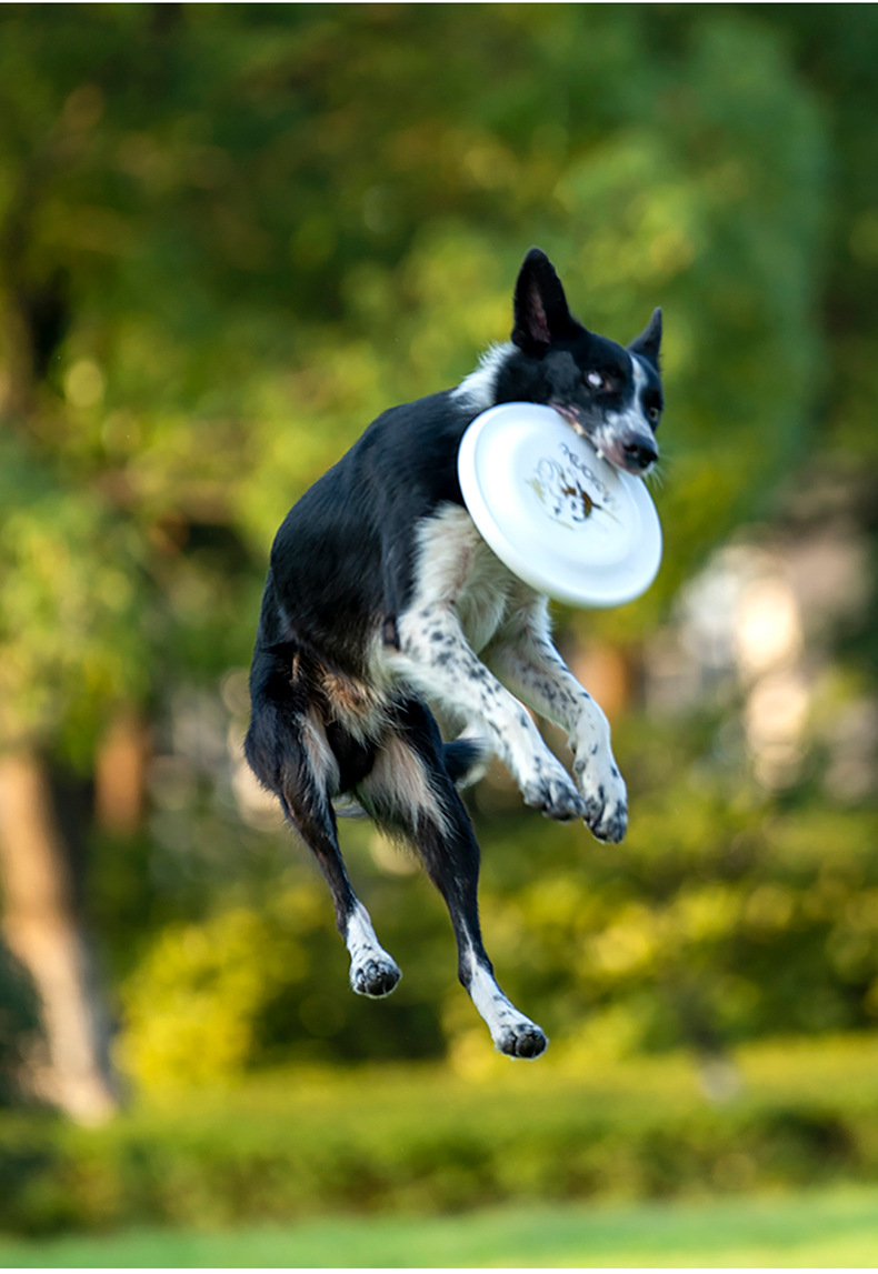 OUZEY-Brinquedos disco voador  - Flying Disc Dog Training Toy avaliação e preço