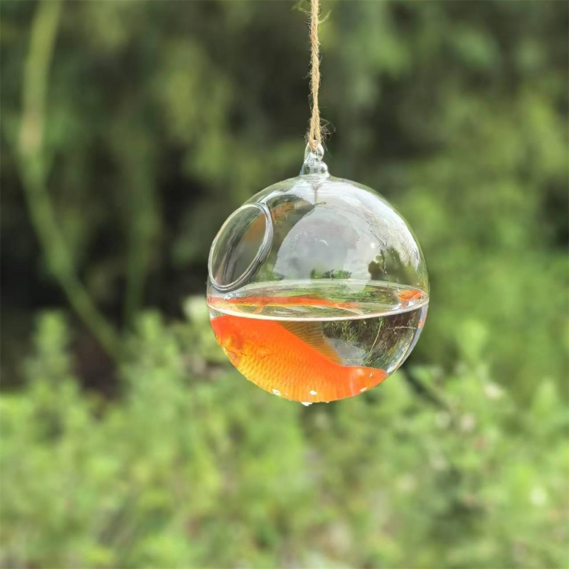 Terrário de Vidro Transparente - Aquarium avaliação e preço