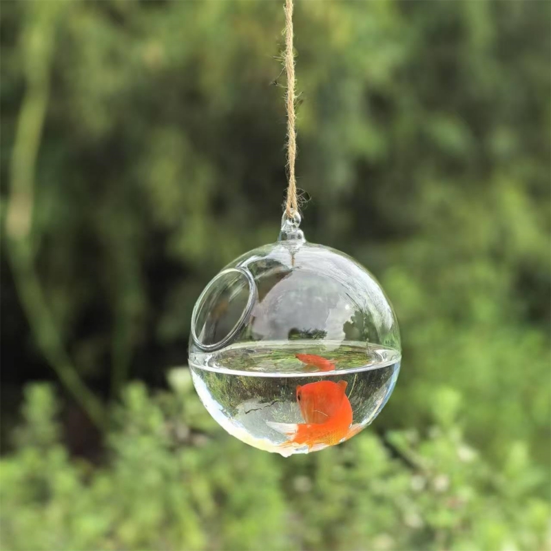 Terrário de Vidro Transparente - Aquarium avaliação e preço