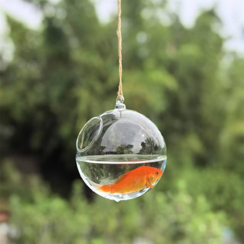 Terrário de Vidro Transparente - Aquarium avaliação e preço