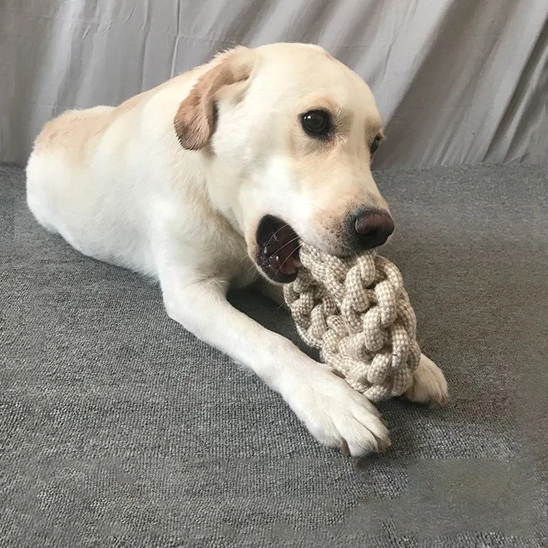 Brinquedo de Nó para Cães e Ga - Snuffle Mat For Dogs avaliação e preço