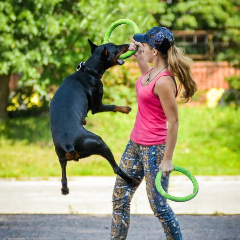 Discos voadores EVA Dog Traini - Flying Disc Dog Training Toy avaliação e preço