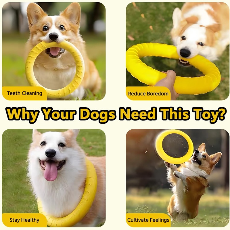 Brinquedos para Cães, Discos V - Flying Disc Dog Training Toy avaliação e preço