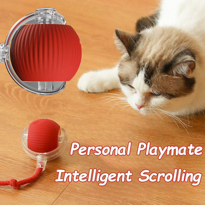 Novo gato bola interativa brin - Automatic Moving Dog Ball avaliação e preço
