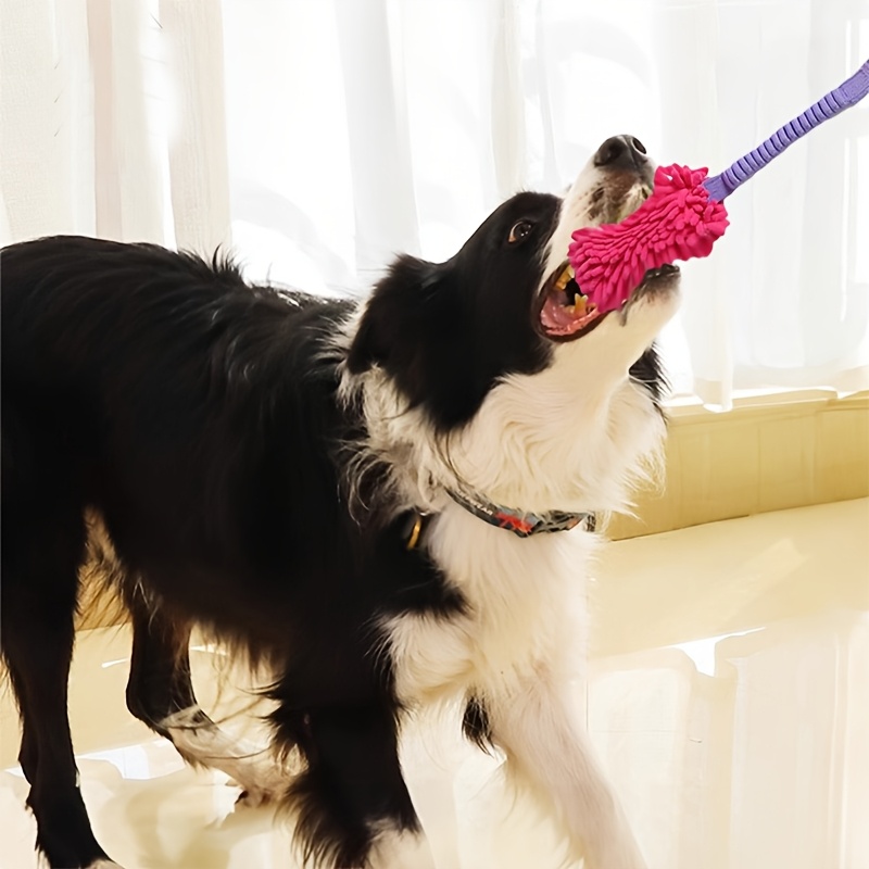 Brinquedos duráveis do cão par - Indestructible Dog Chew Toy avaliação e preço