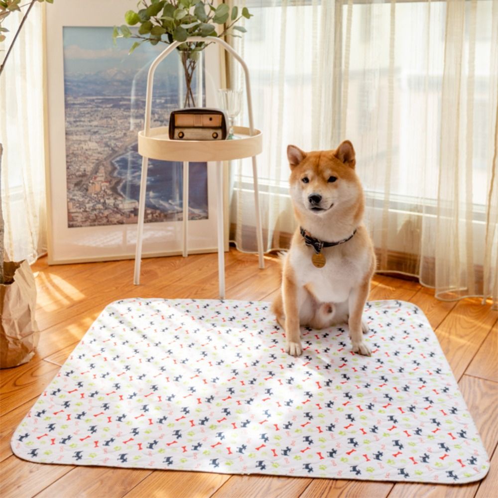 Tapete Super Absorvente e Durá - Pet Beds avaliação e preço